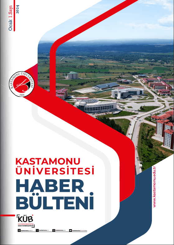 bülten